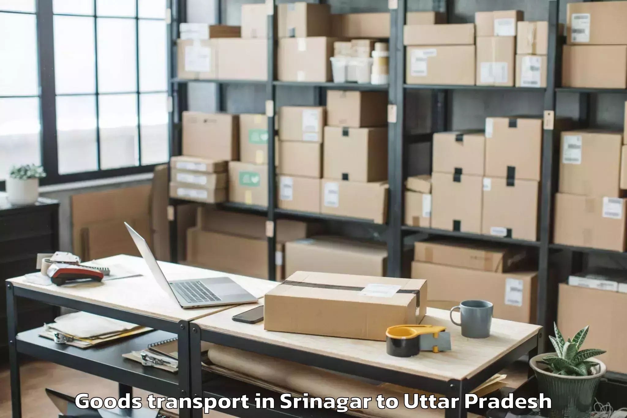 Quality Srinagar to Invertis University Bareilly Goods Transport